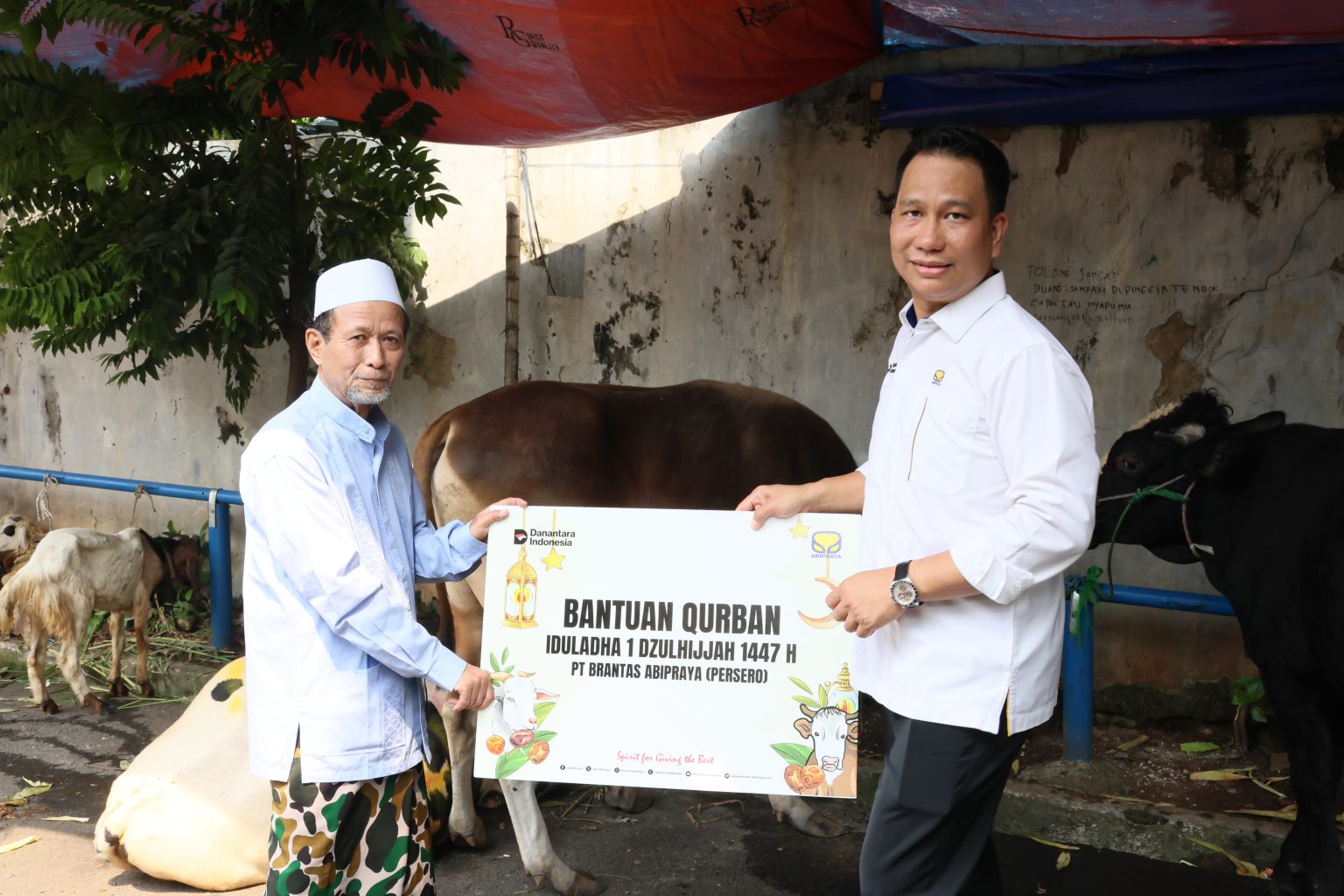 Membangun Lebih dari Infrastruktur, Brantas Abipraya Tebar Keceriaan Iduladha Melalui 210 Hewan Kurban